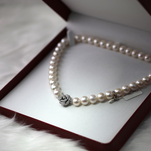Bridal Collection